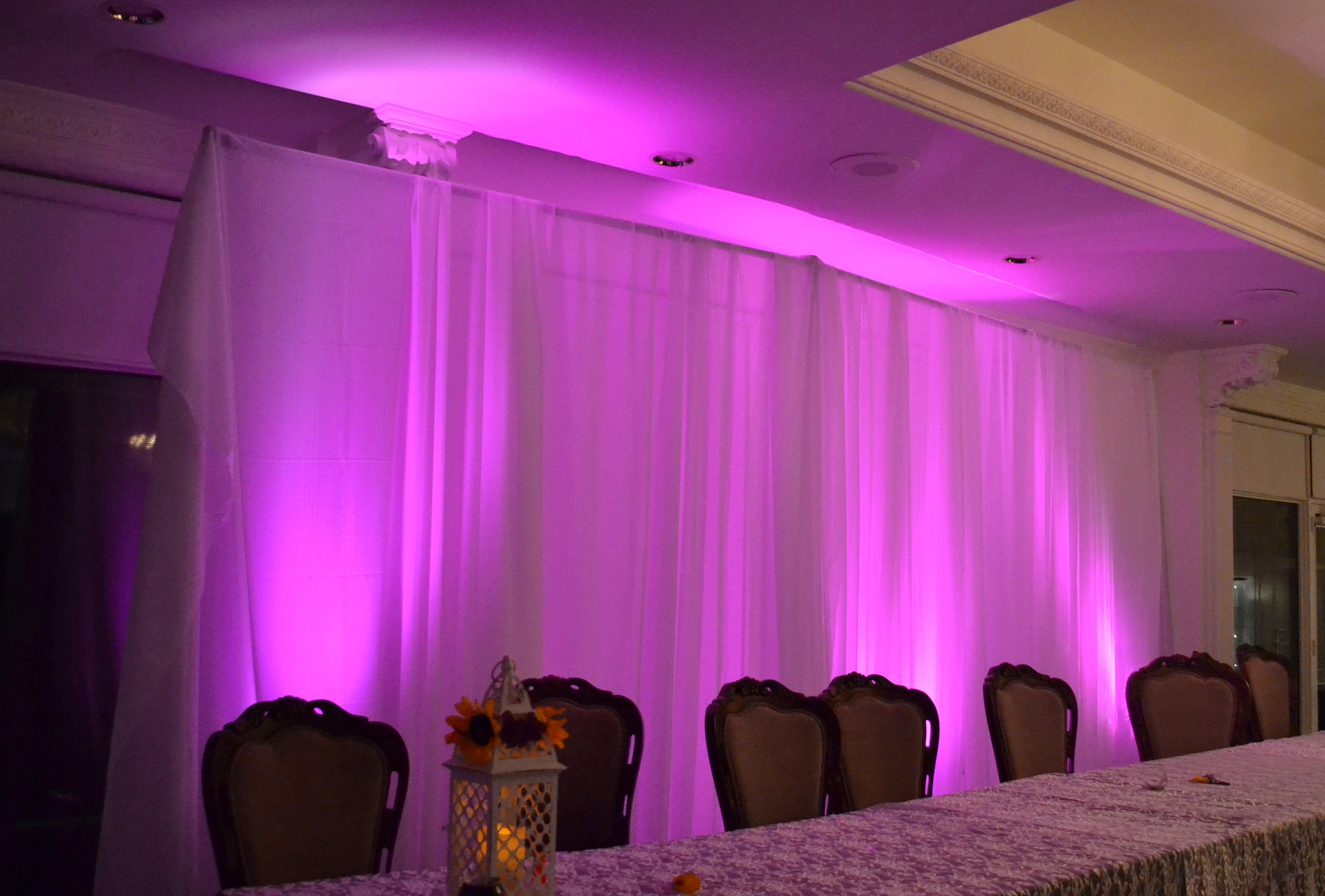 Pipe and drape wedding back-drop