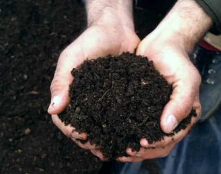 handfulofsoil.jpg