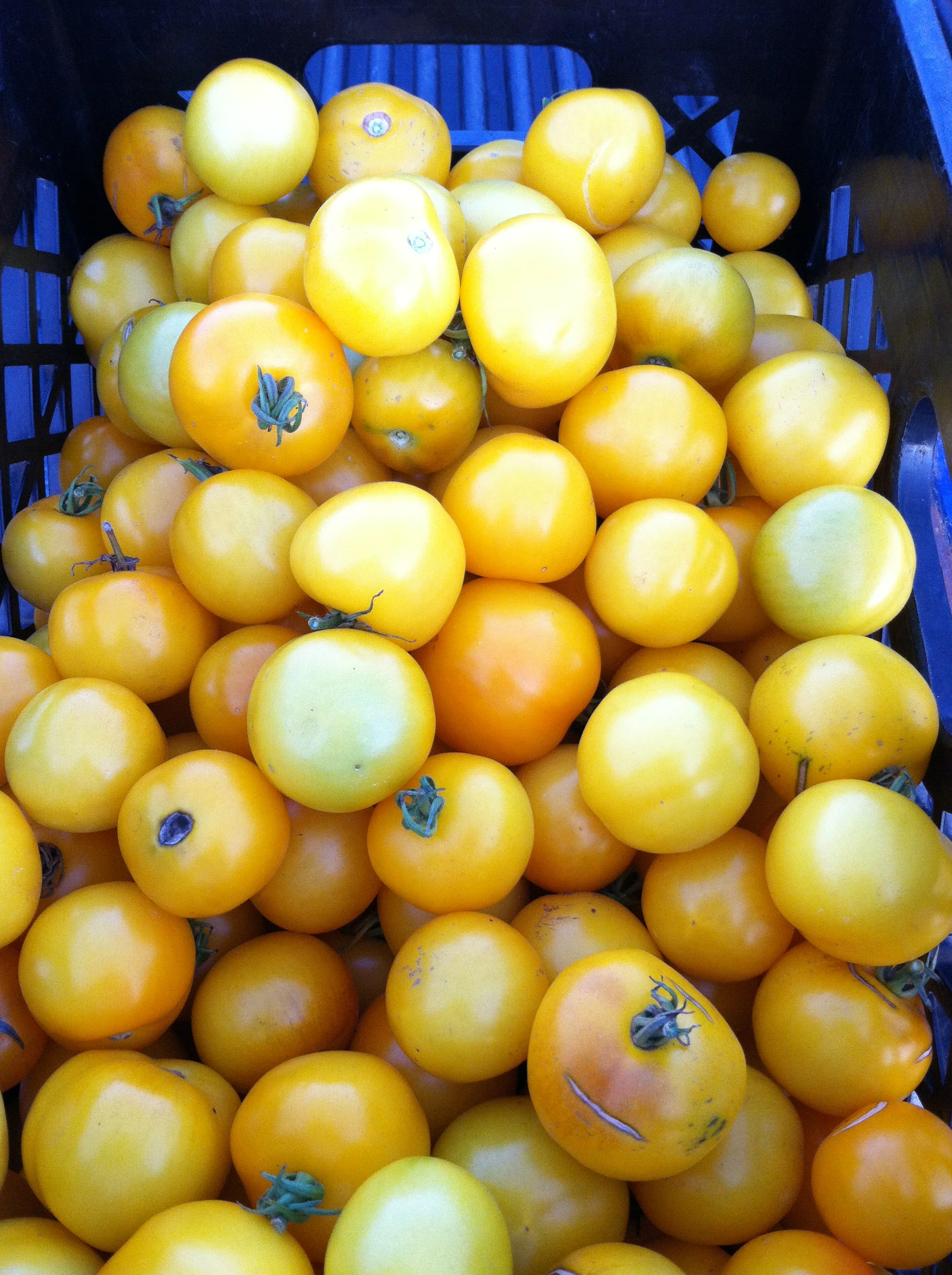 Transferred Jan 8 2014 062.JPG