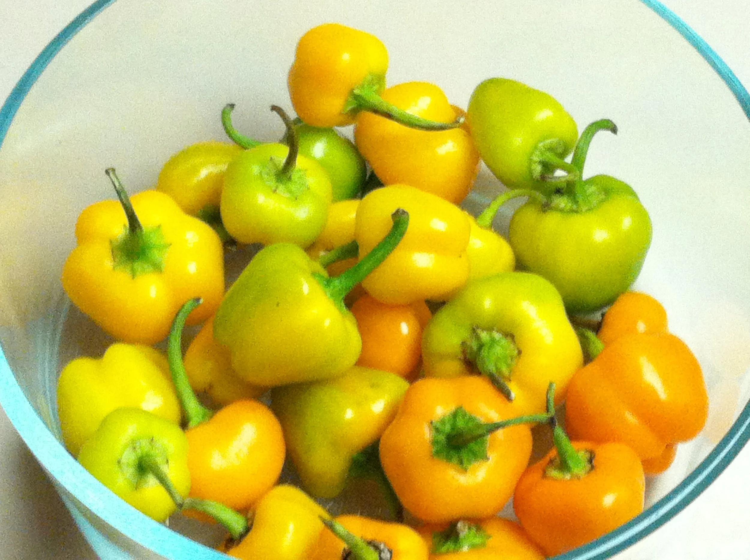 Transferred Jan 8 2014 064.JPG