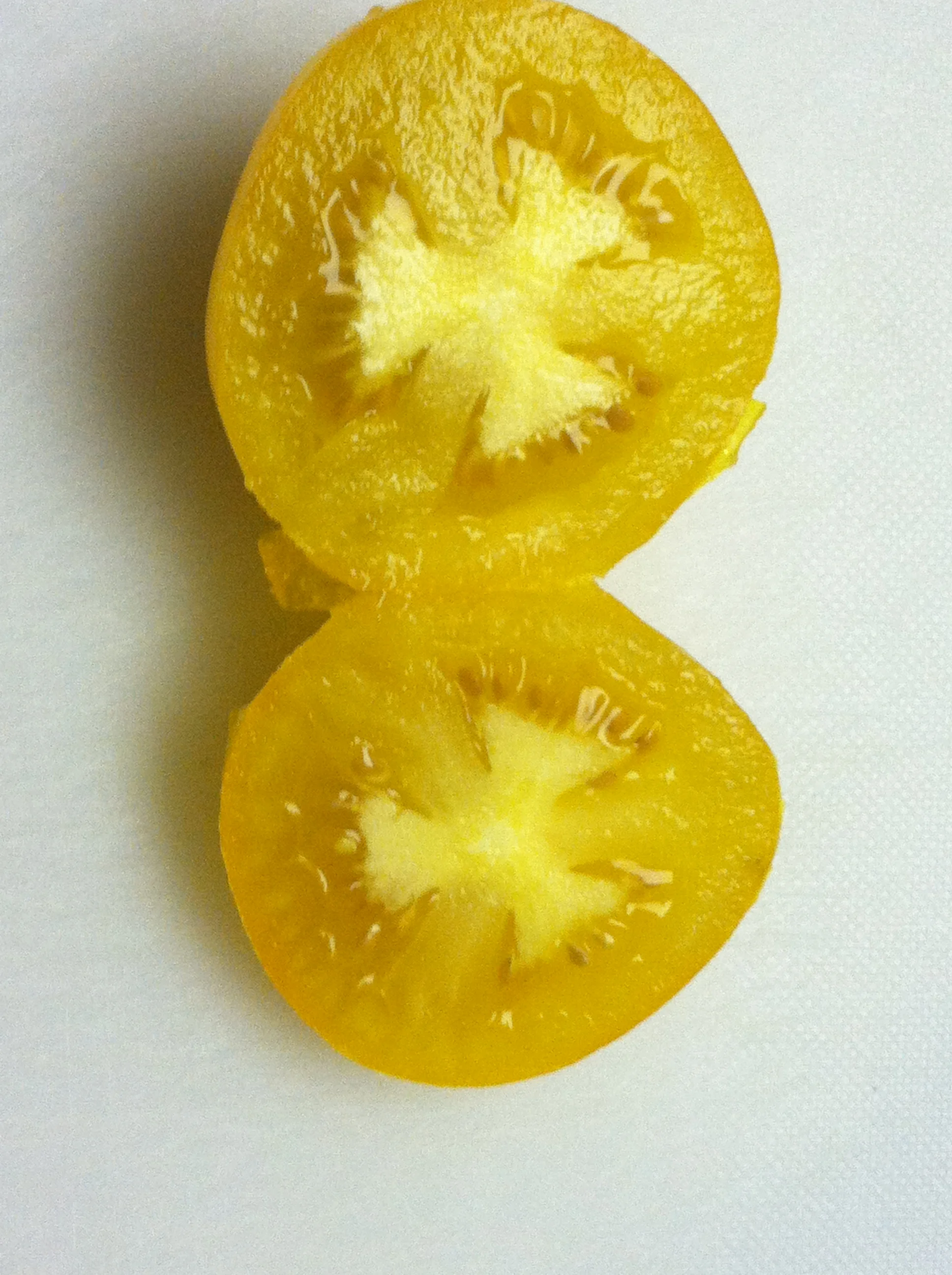 Transferred Jan 8 2014 068.JPG