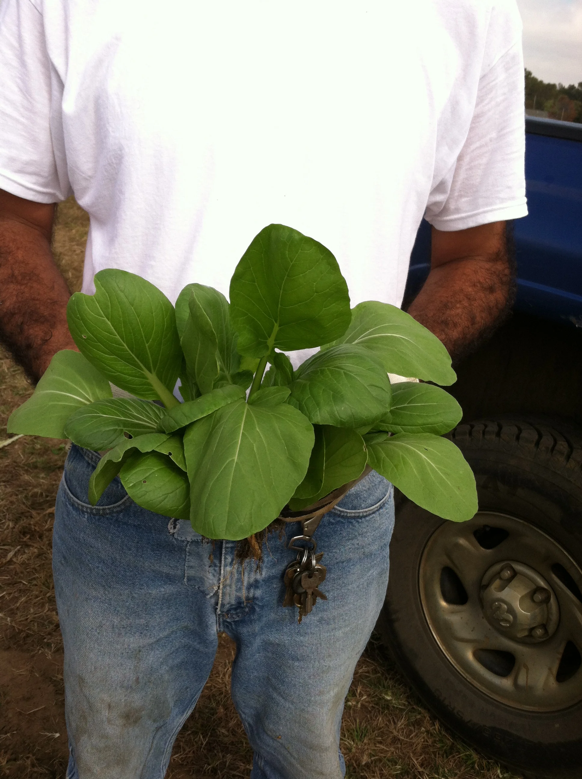 Transferred Jan 8 2014 056.JPG