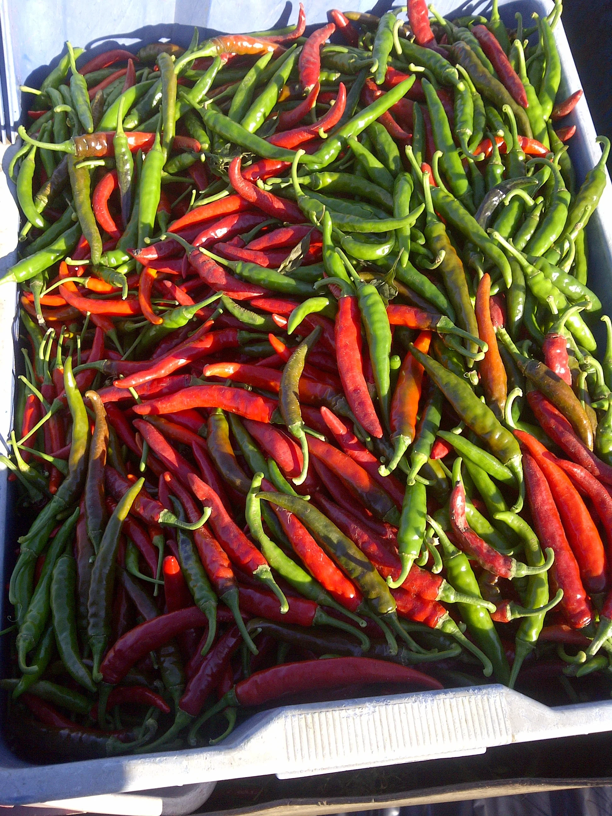 Plumsted-20121013-00731.jpg