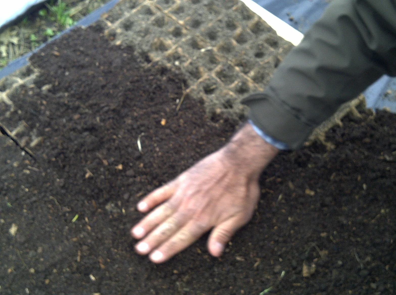 Plumsted-20110331-00106.jpg