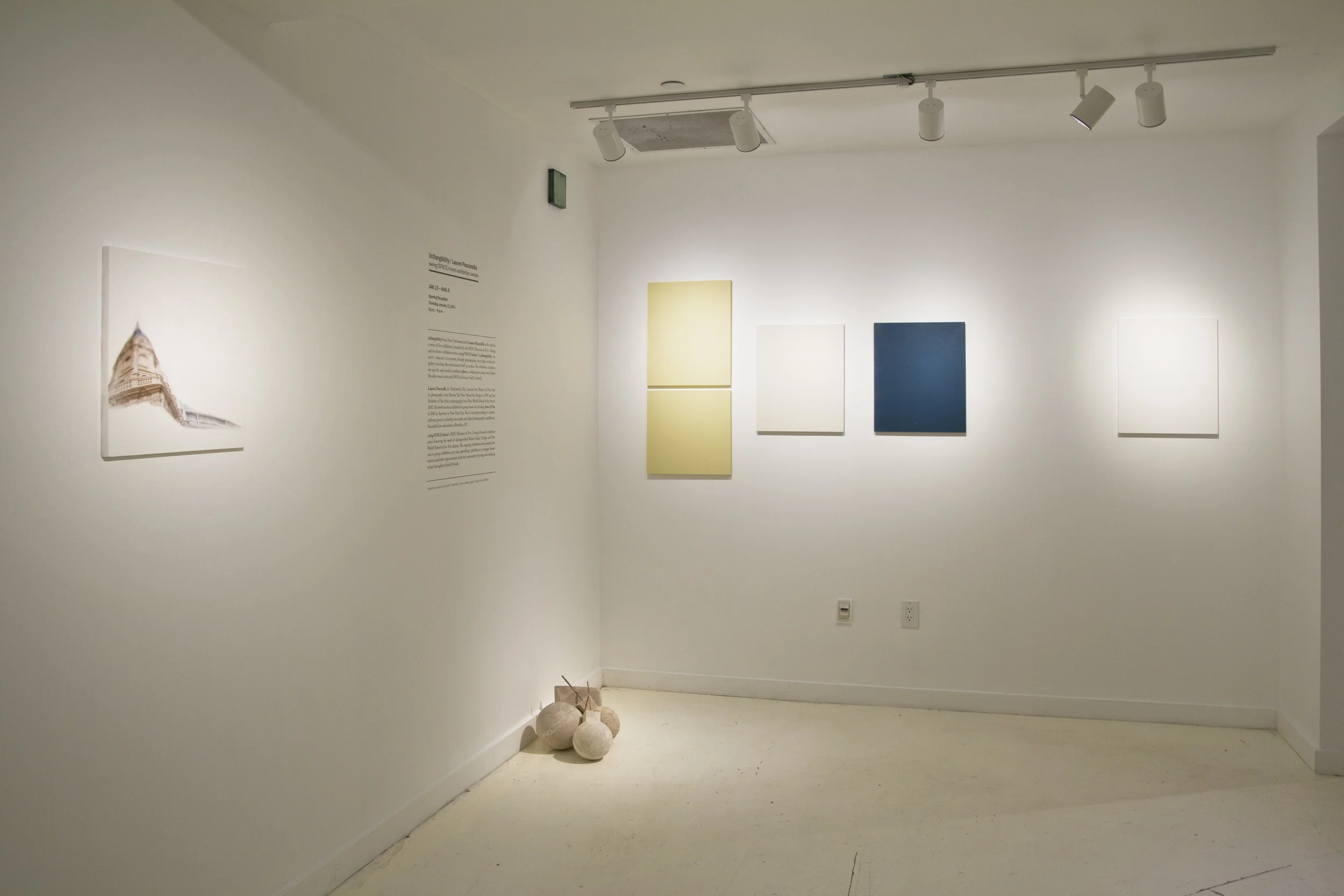 Installation views from (in)tangibility, solo exhibition at MDC Museum of Art + Design, Miami, FL Front Room January 23 - March 8, 2014 