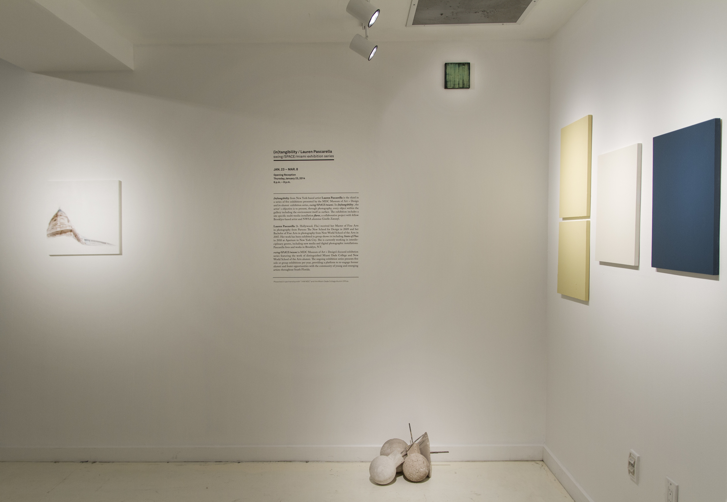 Installation views from (in)tangibility, solo exhibition at MDC Museum of Art + Design, Miami, FL ront Room January 23 - March 8, 2014 