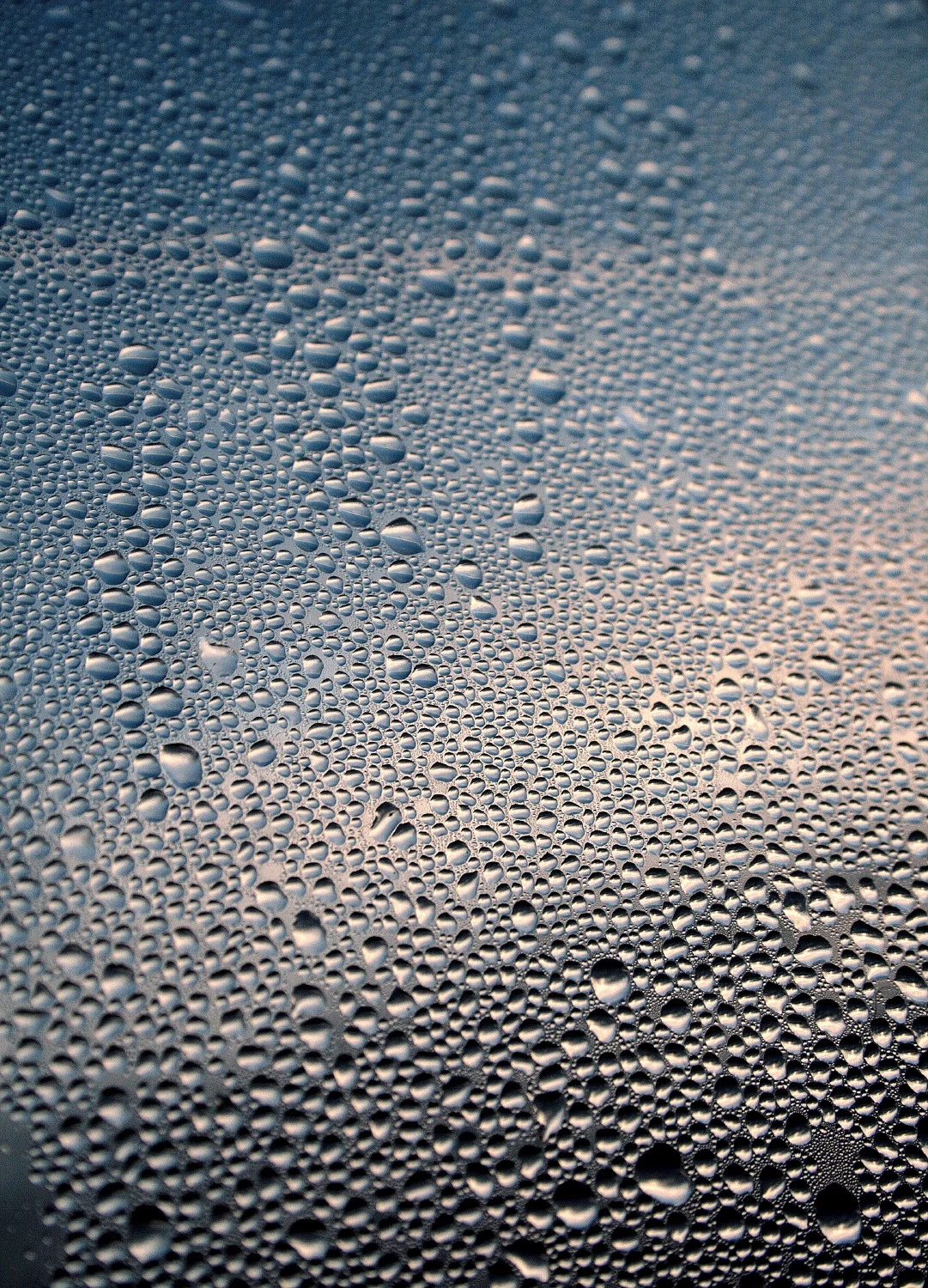 Middelburg, Holland (2013)