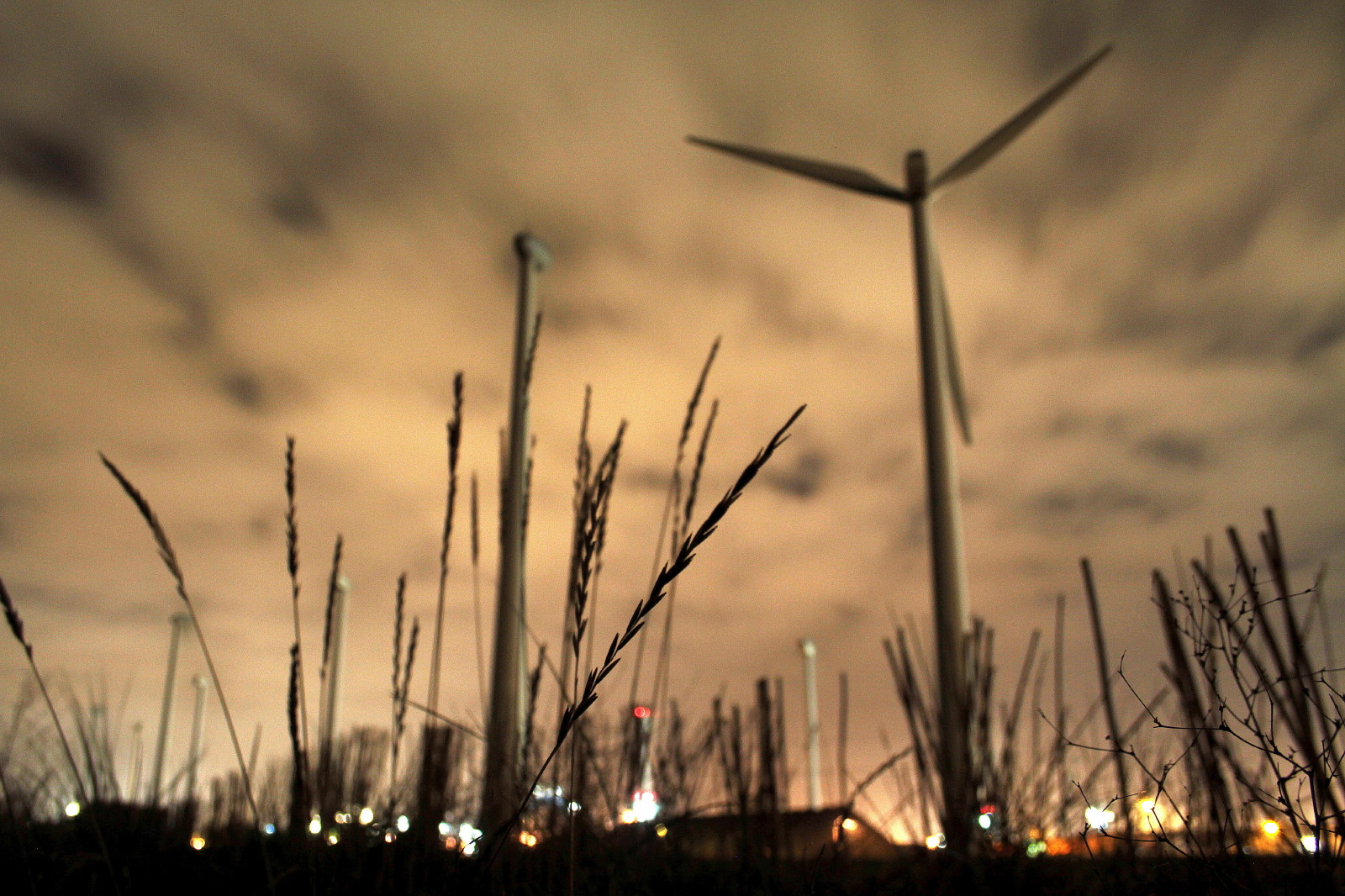 Vlissingen Oost, Holland 2013