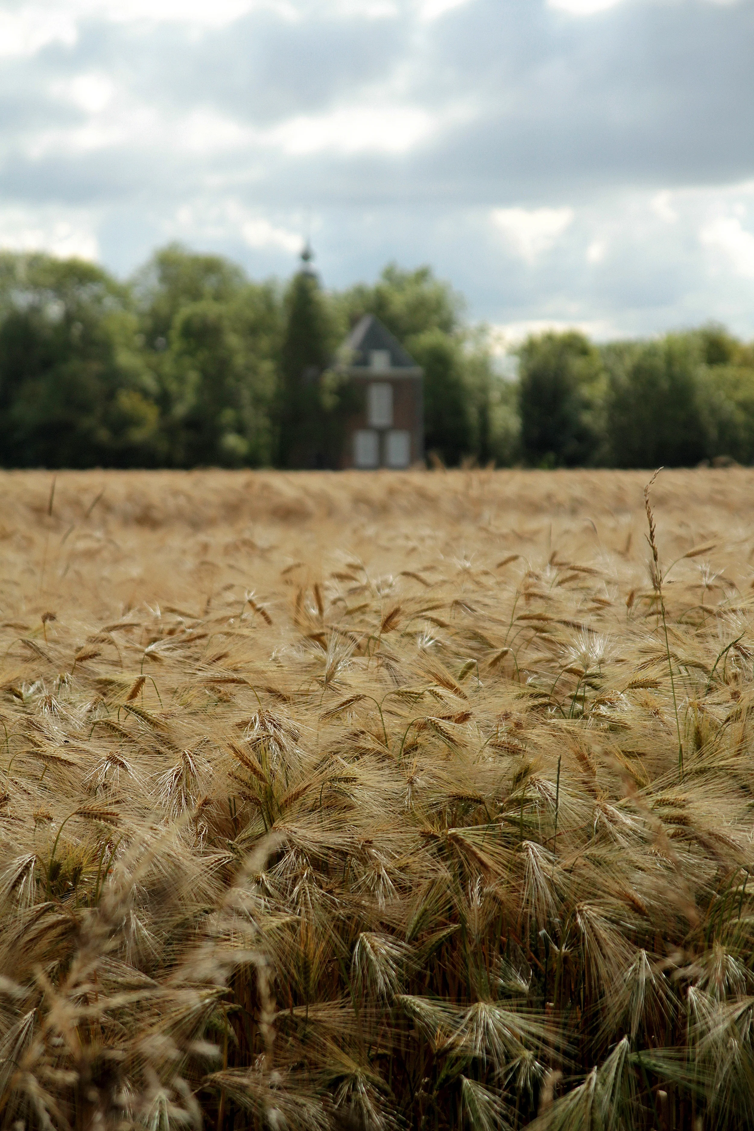 Grijpskerke, Holland