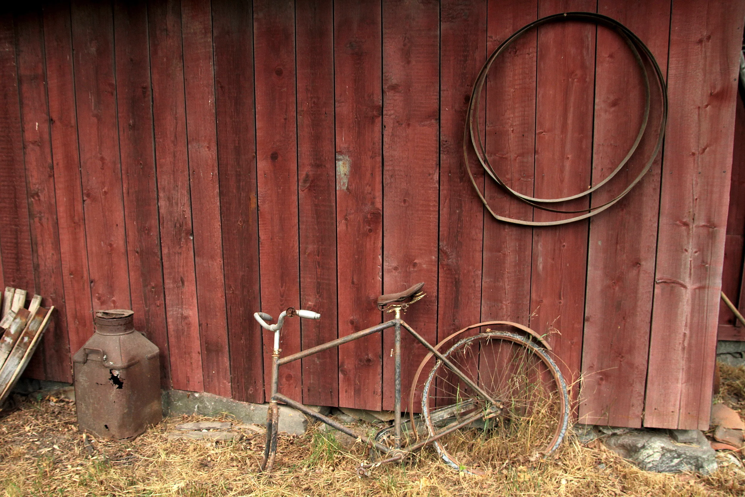Skansen, Stockholm 2014