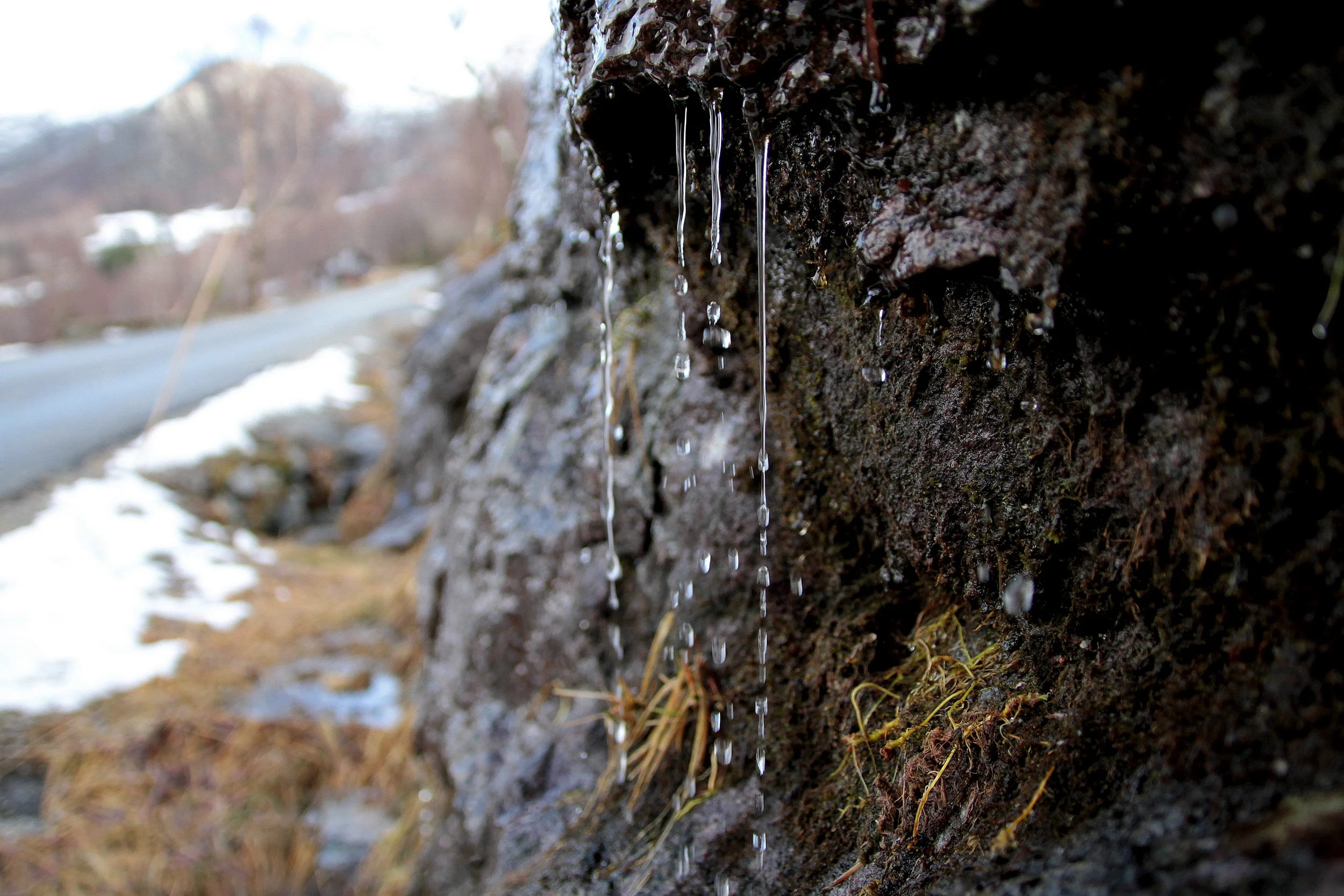 Forsand, Norway 2014