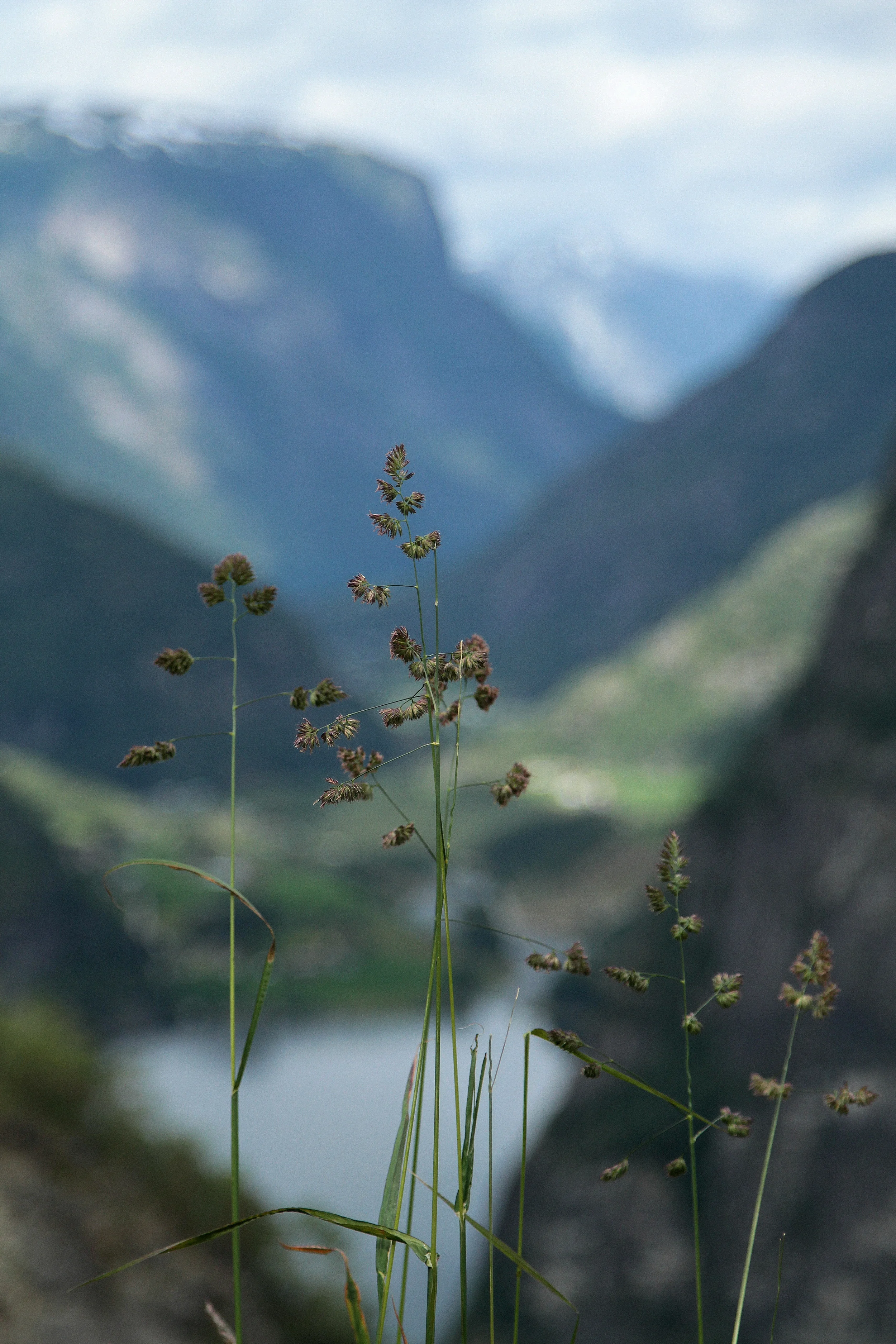 Aurlandsdalen, Norway 2015