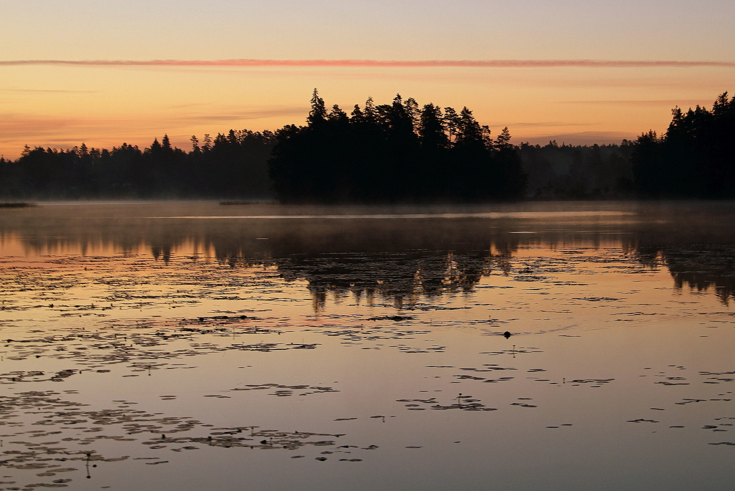 Lovsjö, Sweden 2015