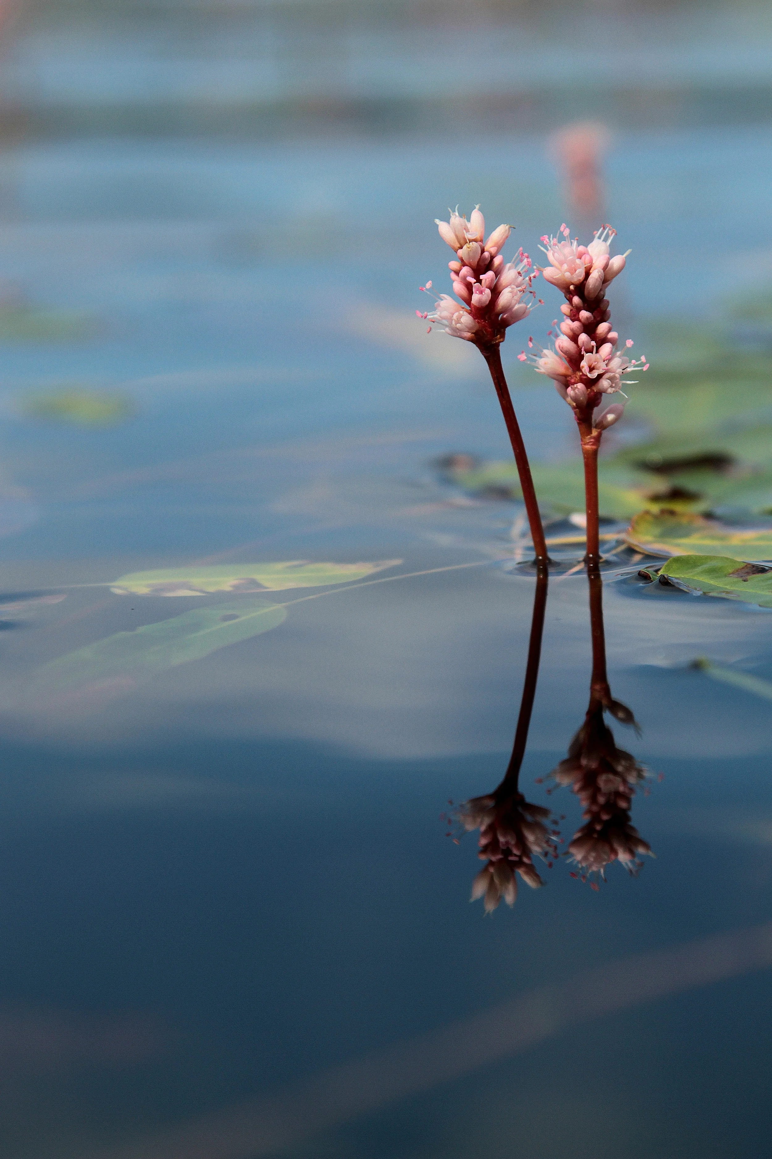Jönköping, Sweden 2015