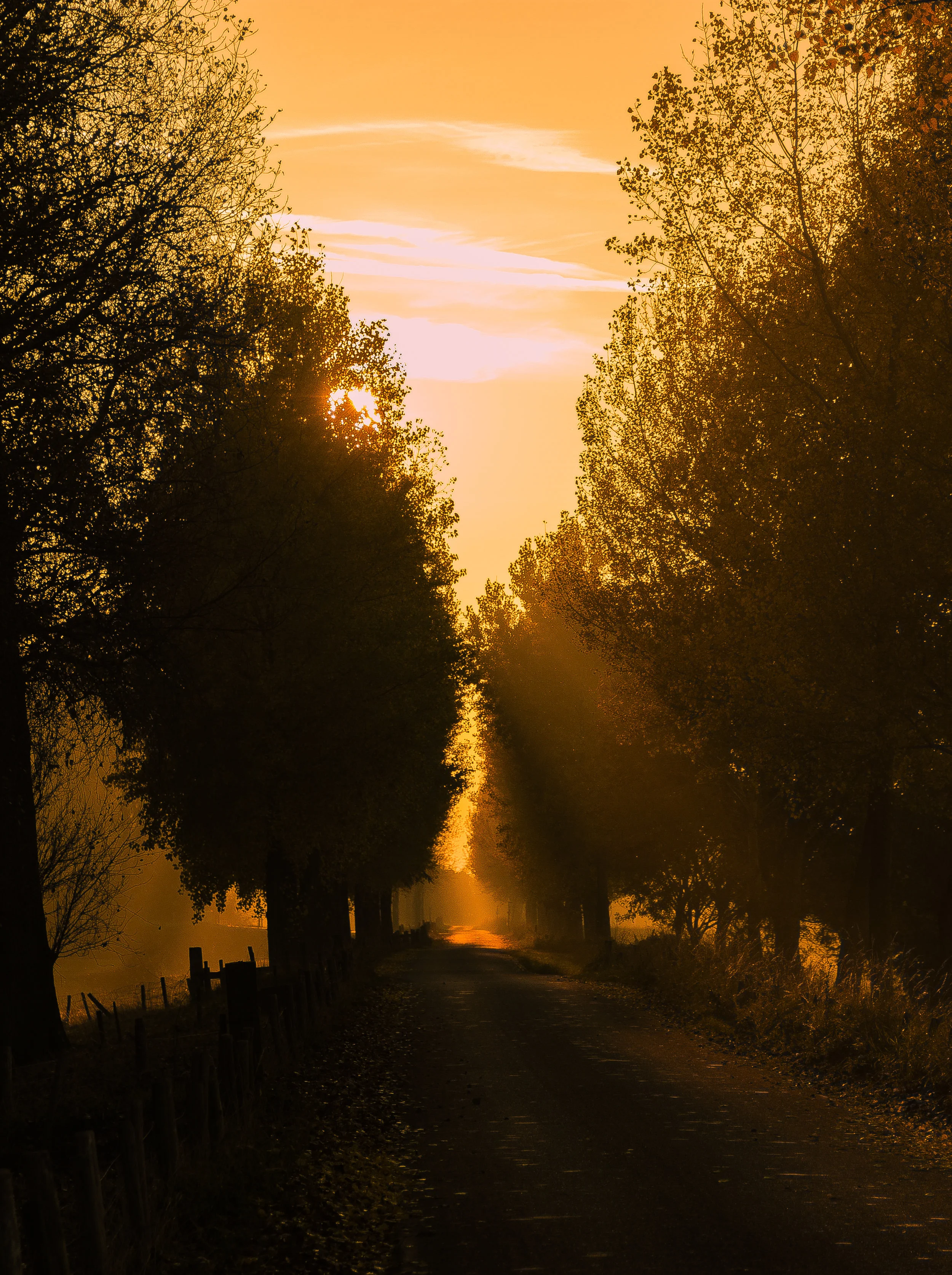 Nieuw- en Sint Joosland, Holland