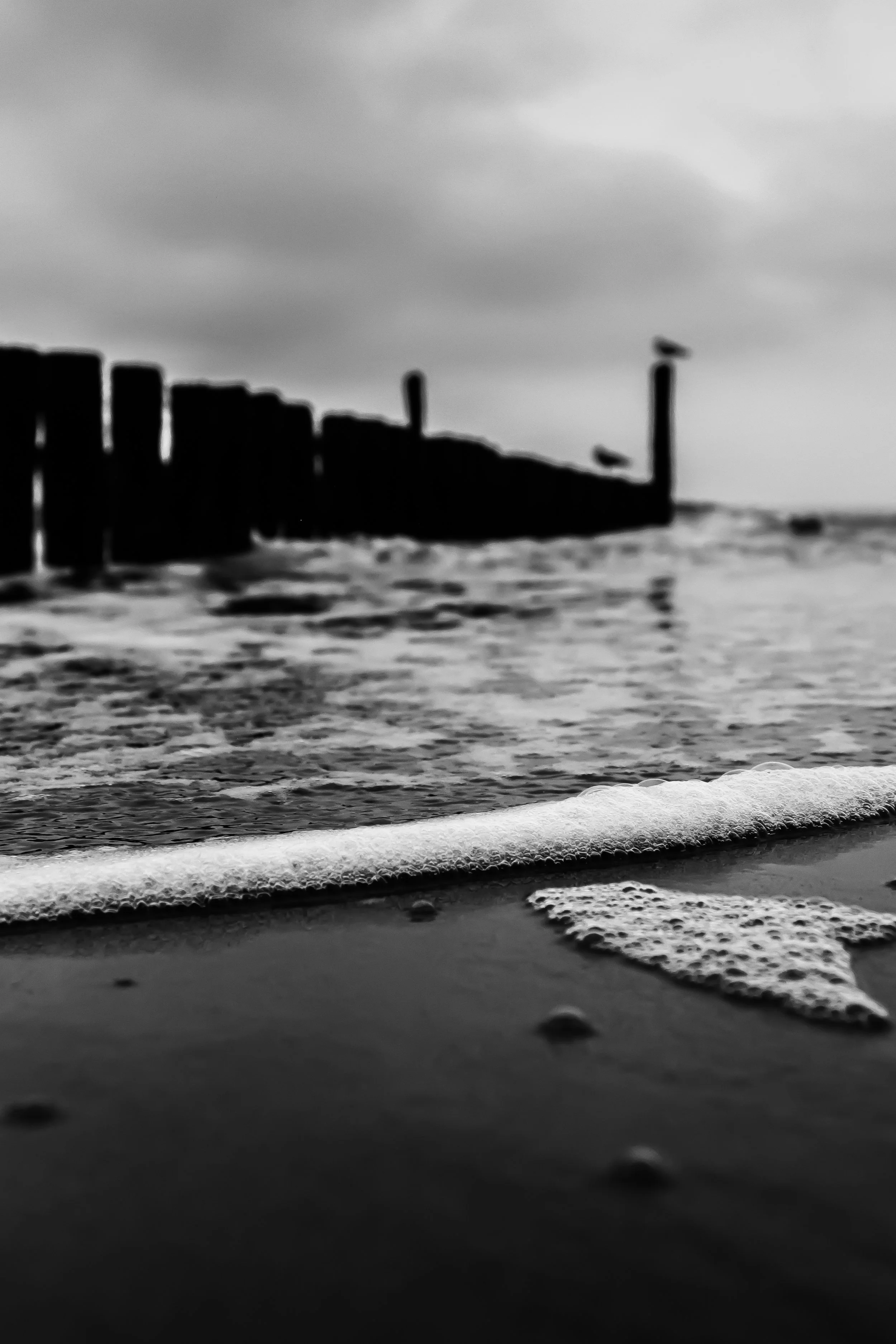 Zoutelanden, Holland