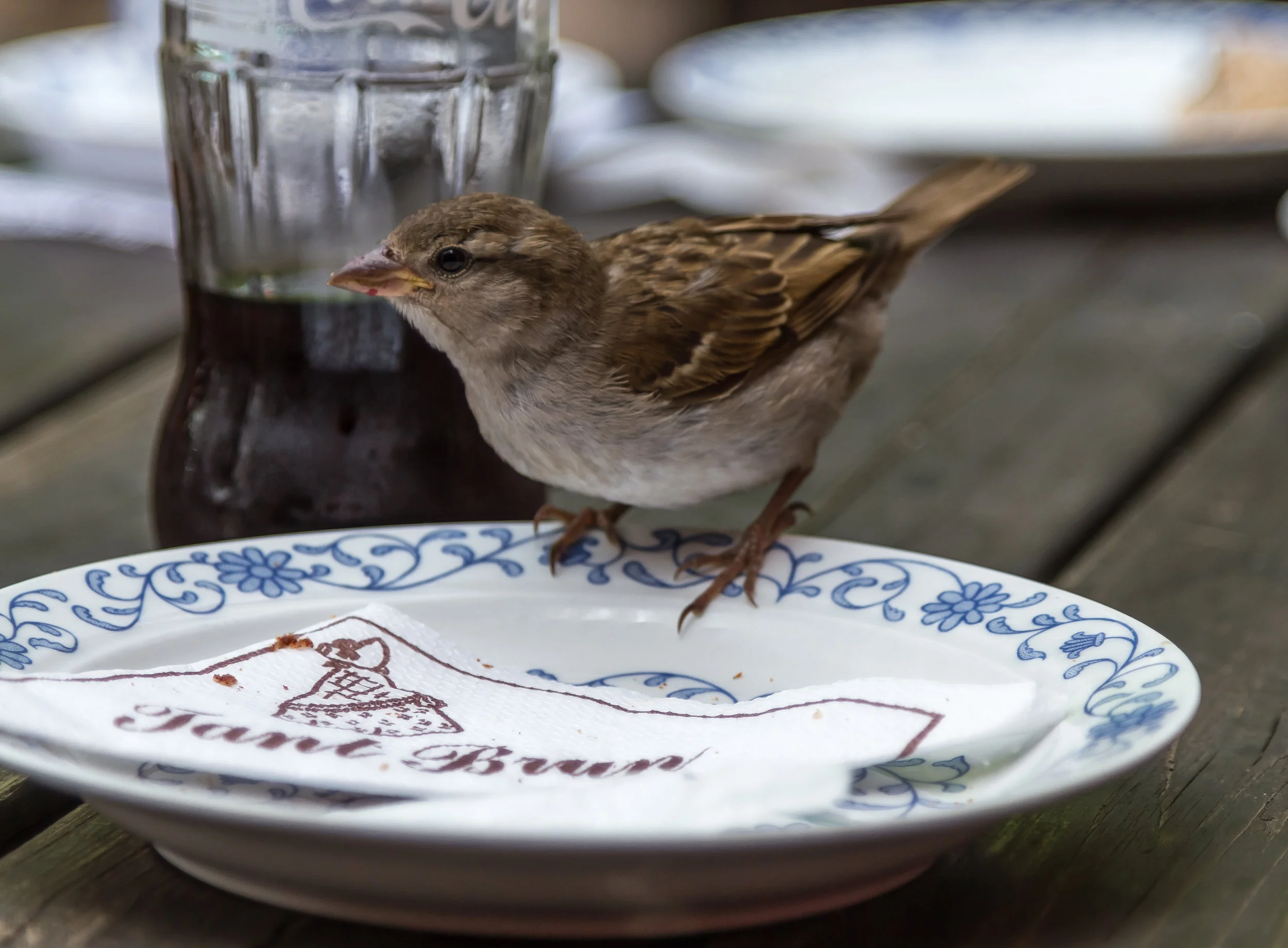 Sigtuna, Sweden 2017