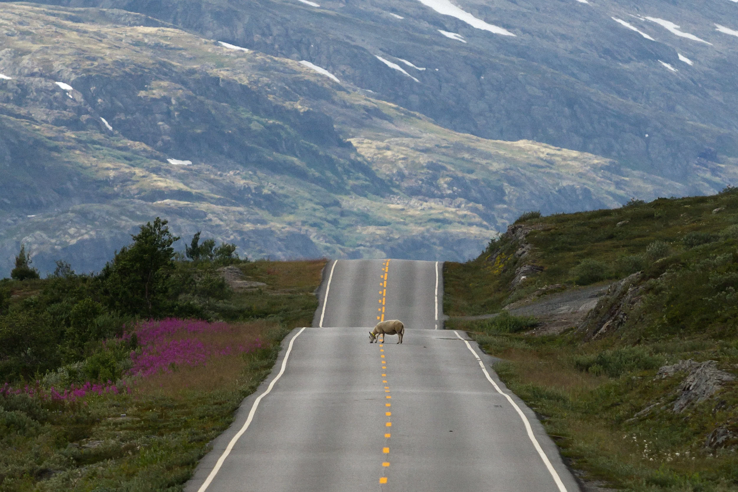 Jotunheimen, Norway 2018