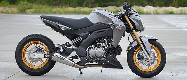 Z125_HeaderPic.jpg