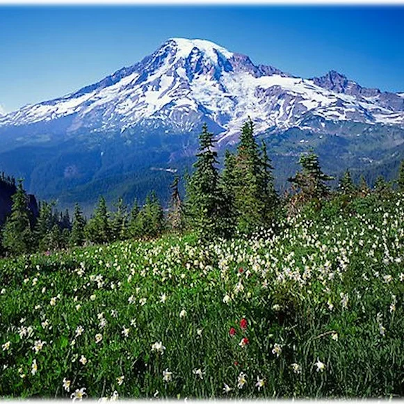 wa-state3.jpg