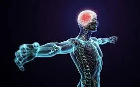 mental performance.jpeg