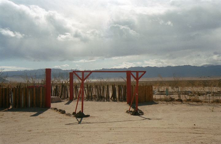 joshuatree006.jpg