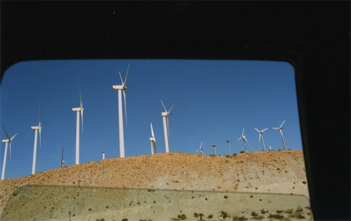 joshuatree16a.jpg