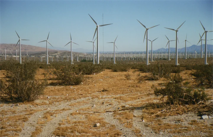 joshuatree017a.jpg