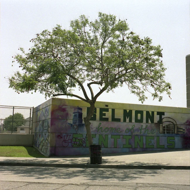 belmont002.jpg