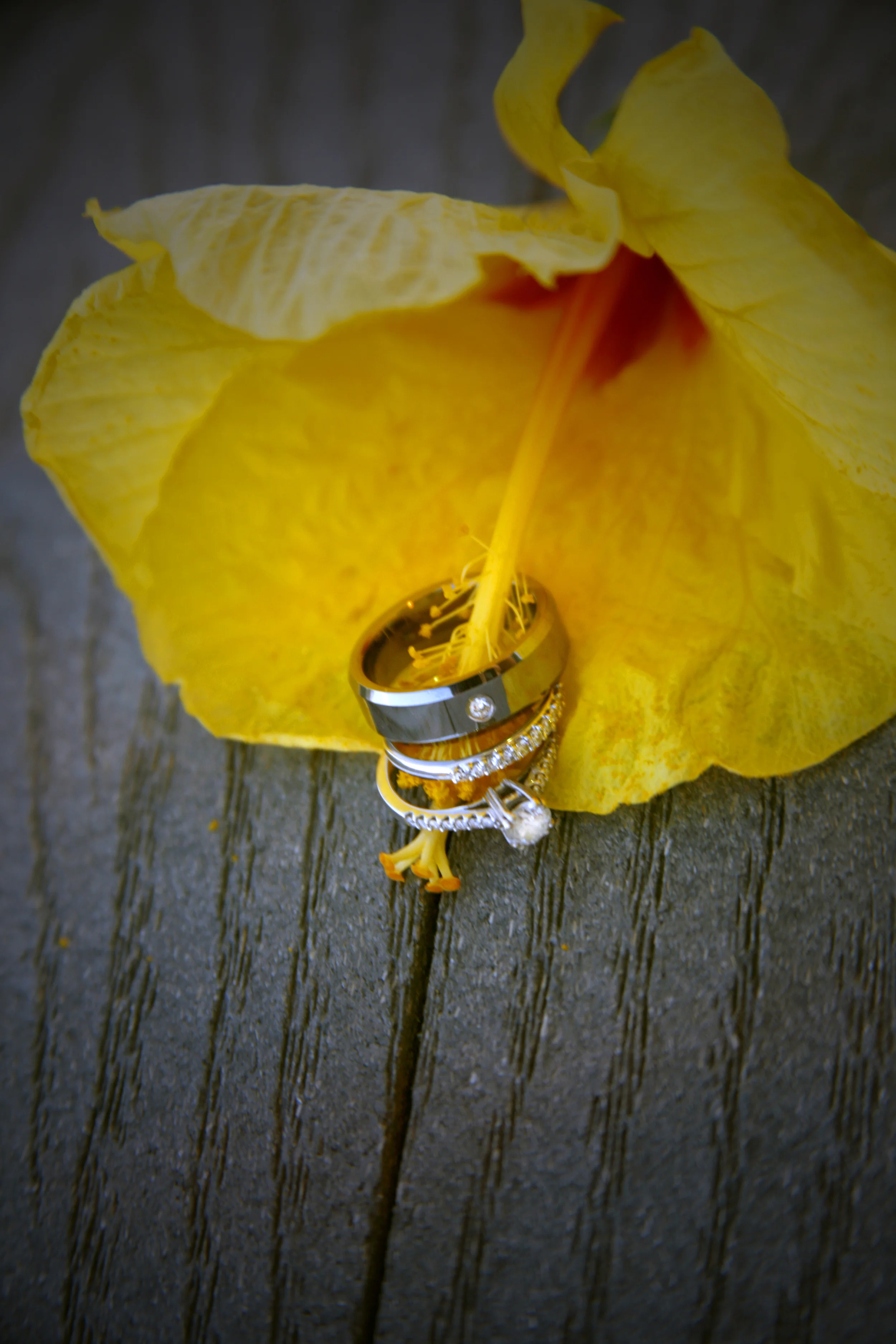 rings3b.jpg