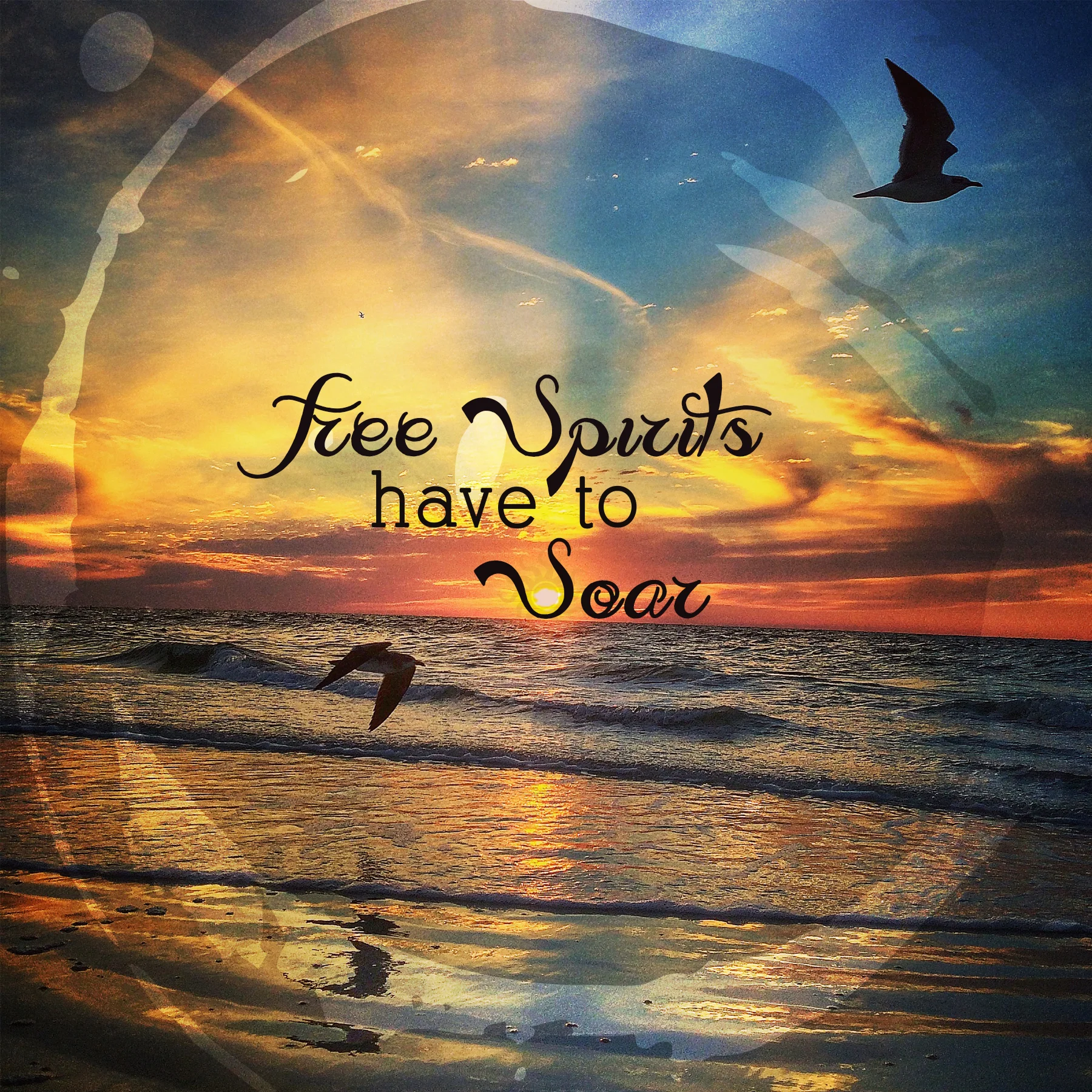 freespirits6x6.jpg