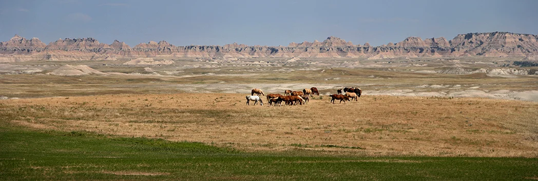 badlandspano-L.jpg