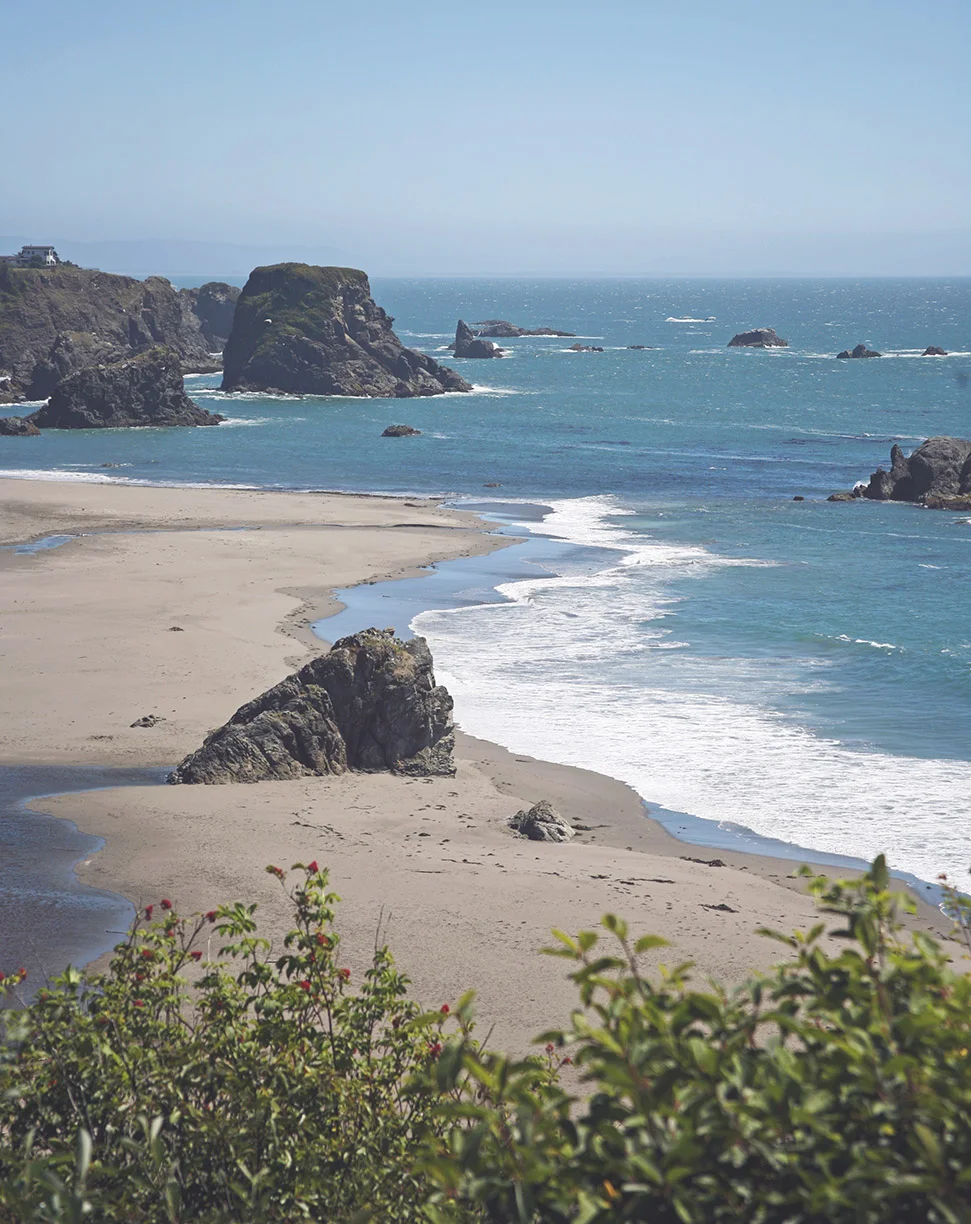 harrisbeachtint-L.jpg