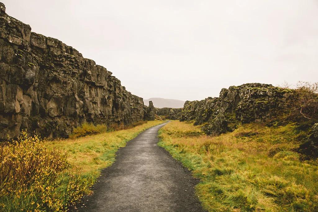 ICEla-L.jpg
