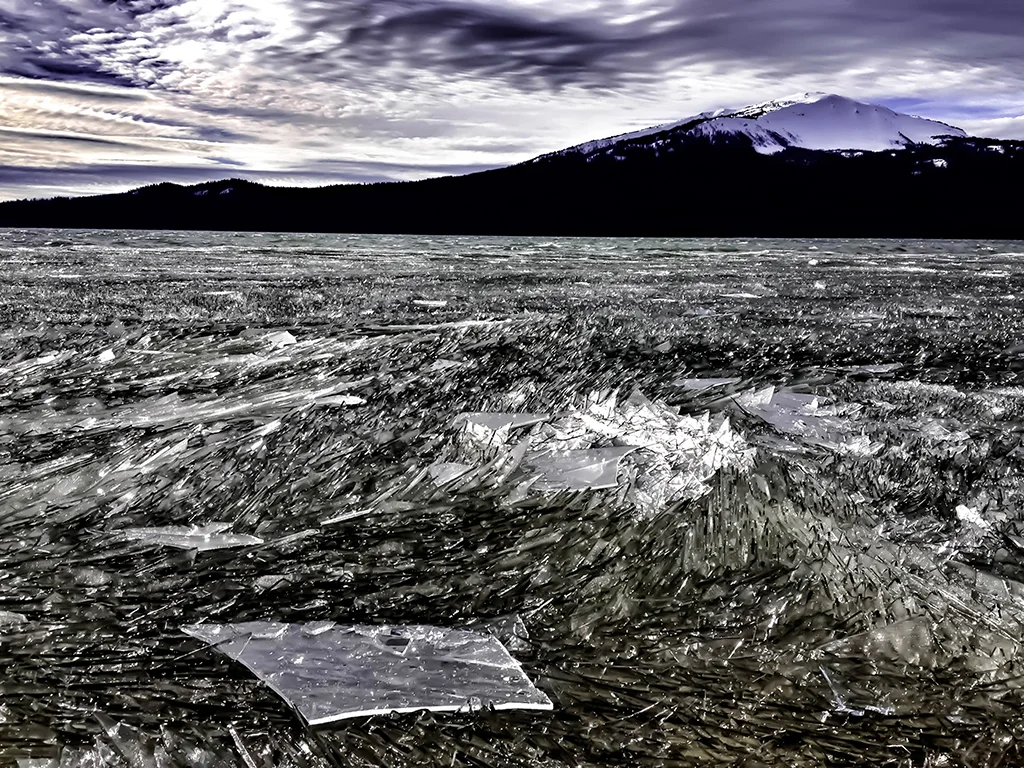 Icelake-L.jpg