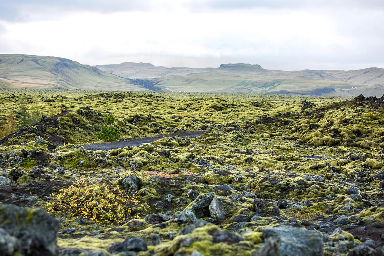 ICEland5-L.jpg