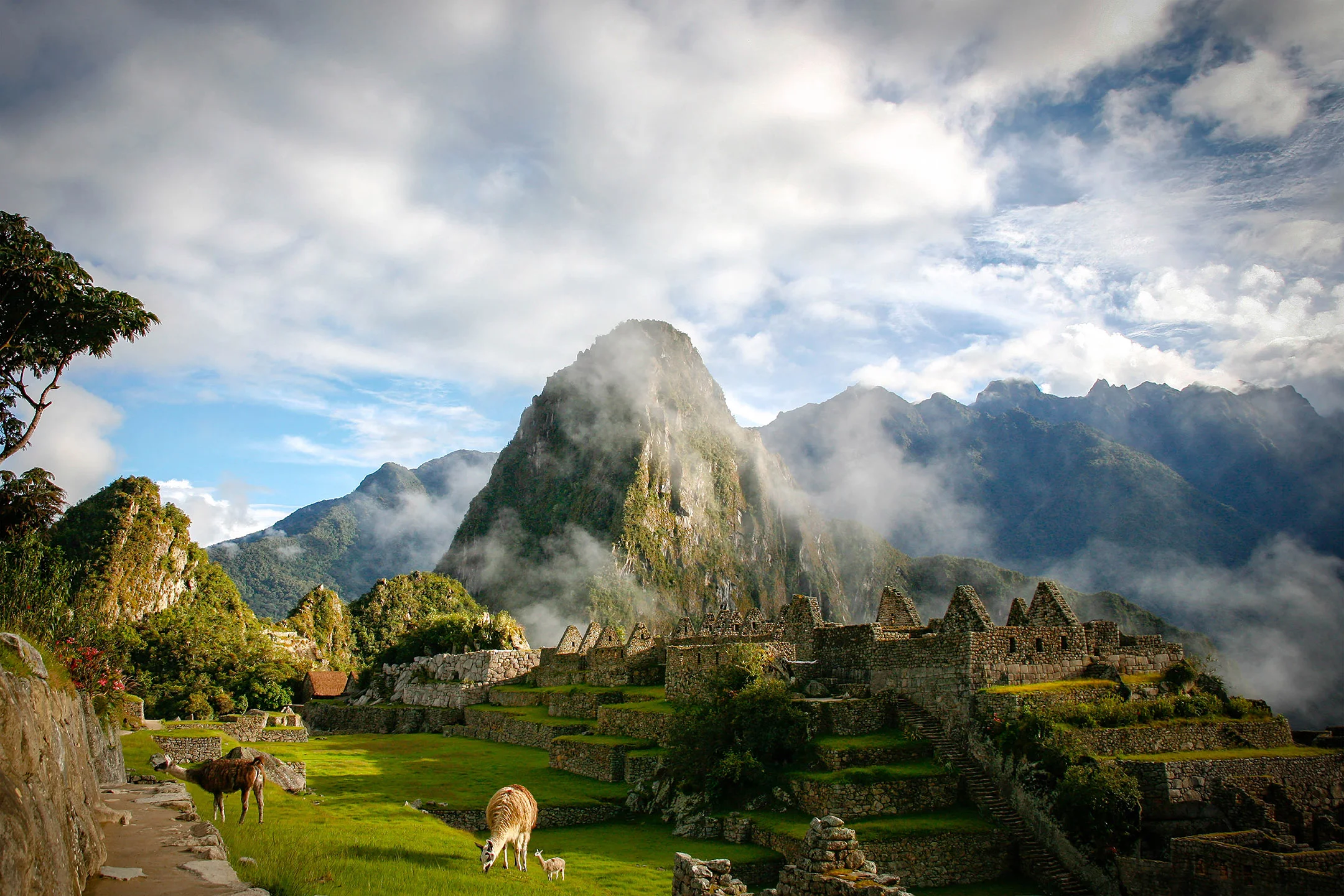 peru-L.jpg