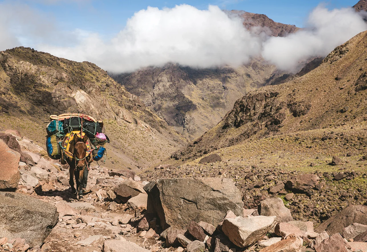 Emlil_Toubkal-T.jpg