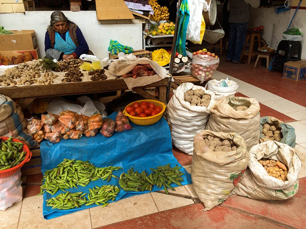 Peru-181-T.jpg