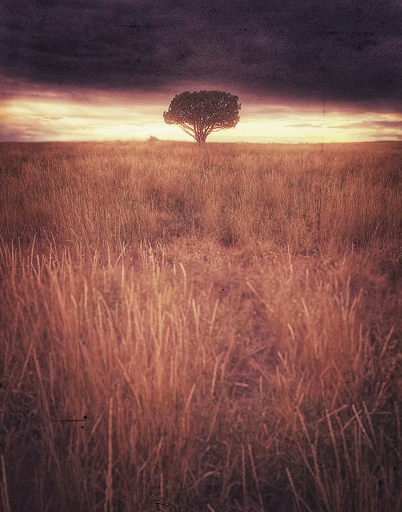 GivingTree-FA.jpg