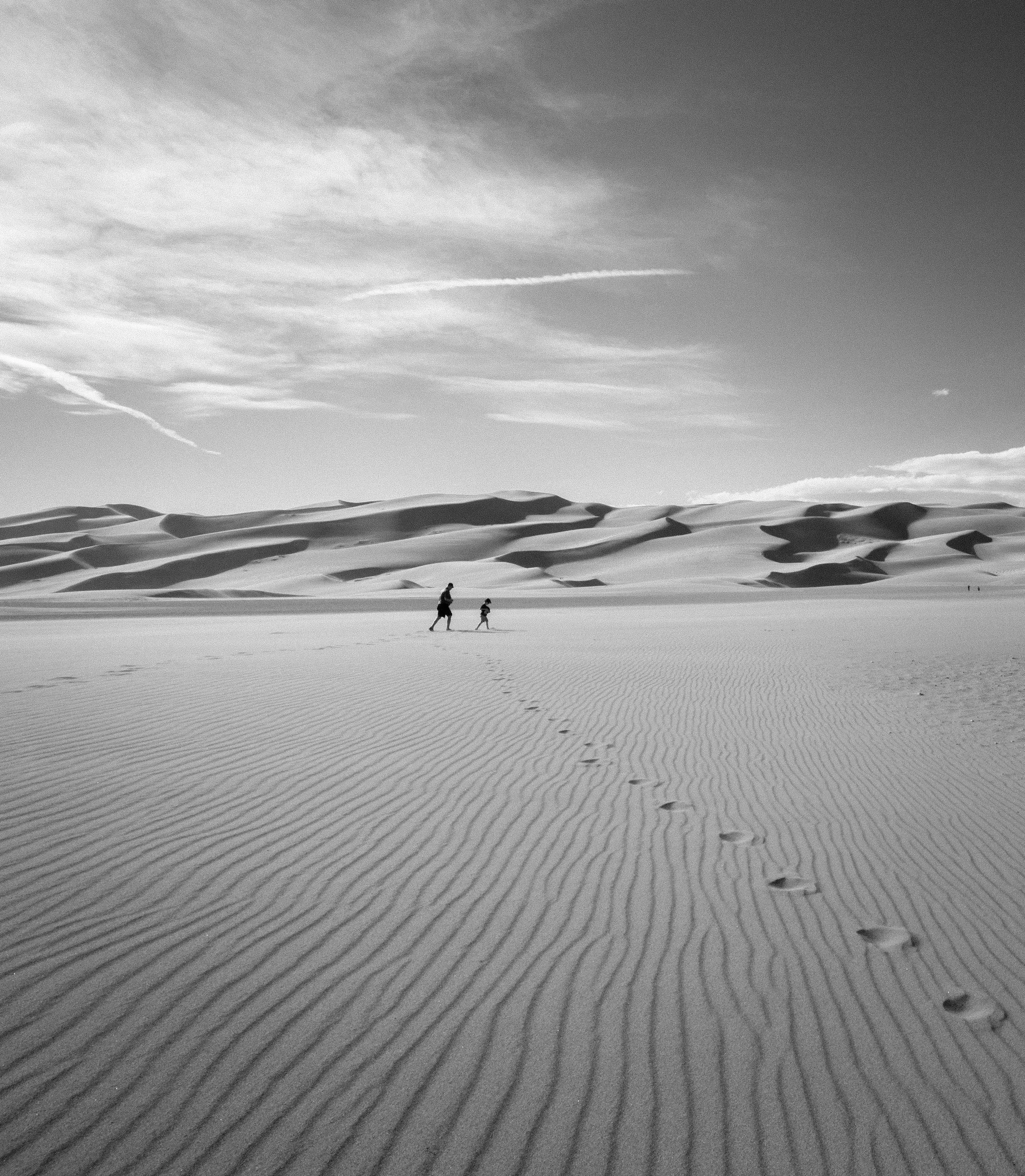 SandDunes (25 of 130).jpg