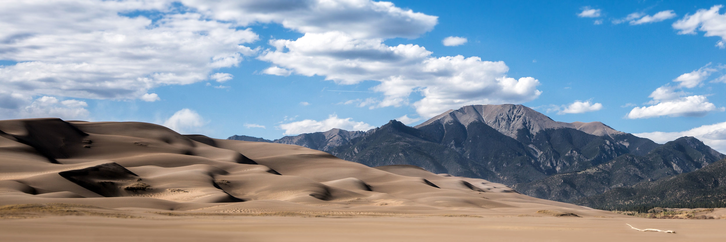 sandunes36x12.jpg