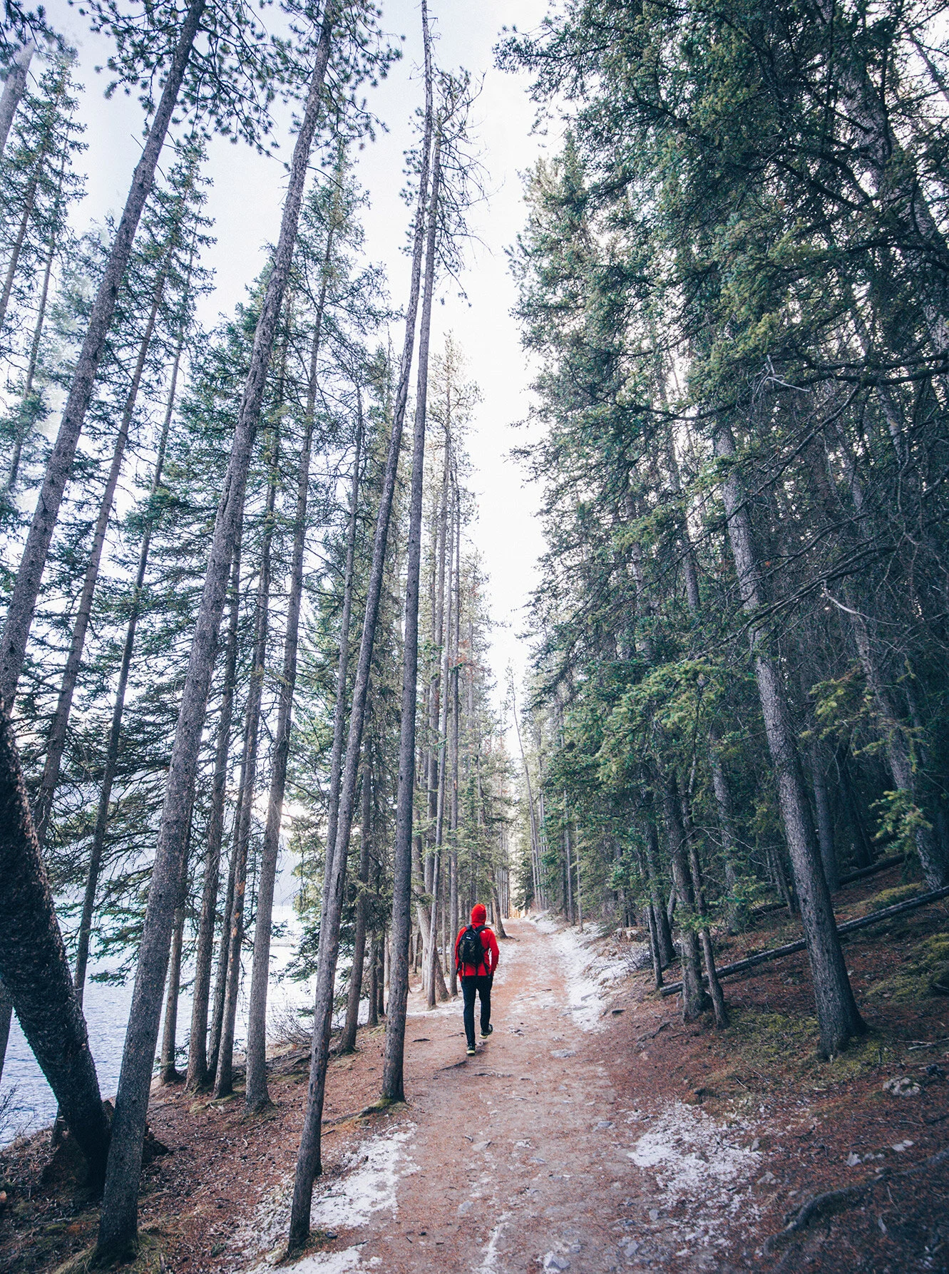 hiker.jpg