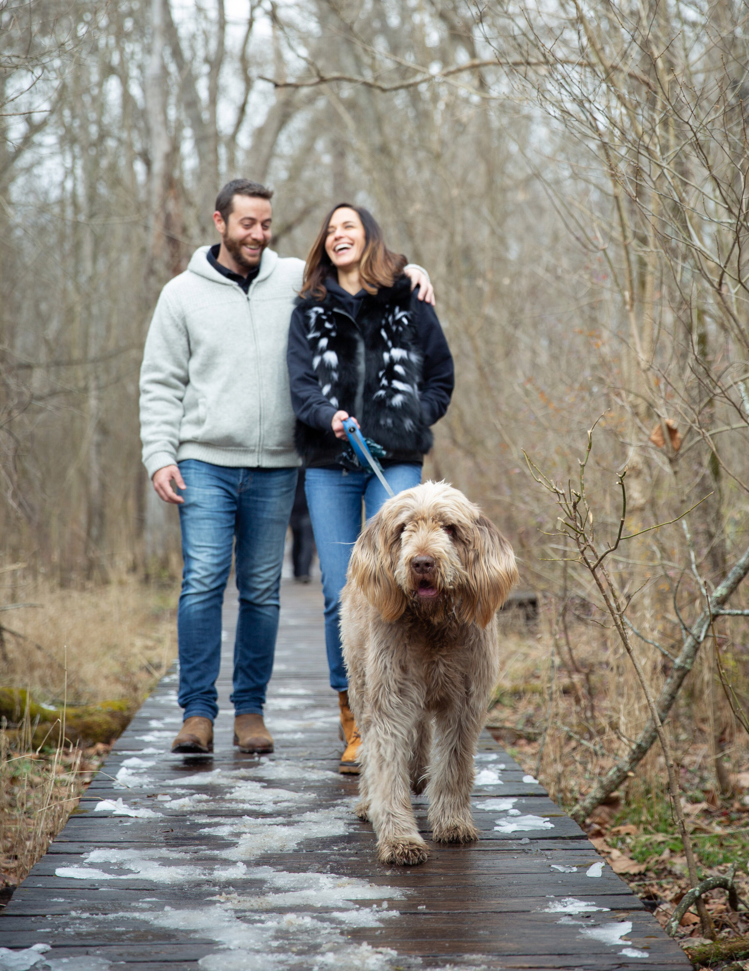 dogwalker.jpg