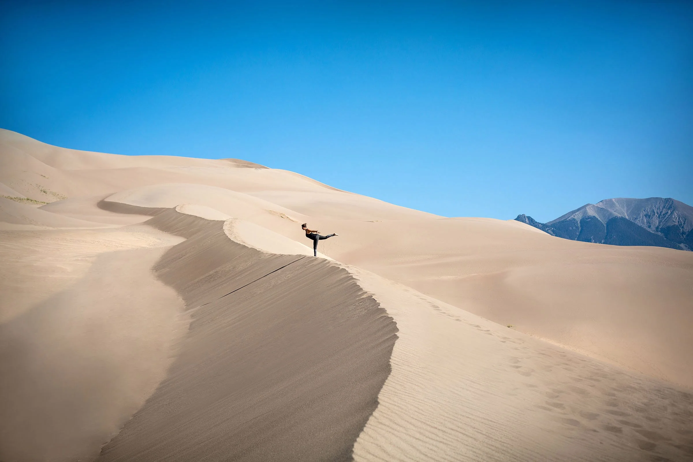 sandyogi.jpg