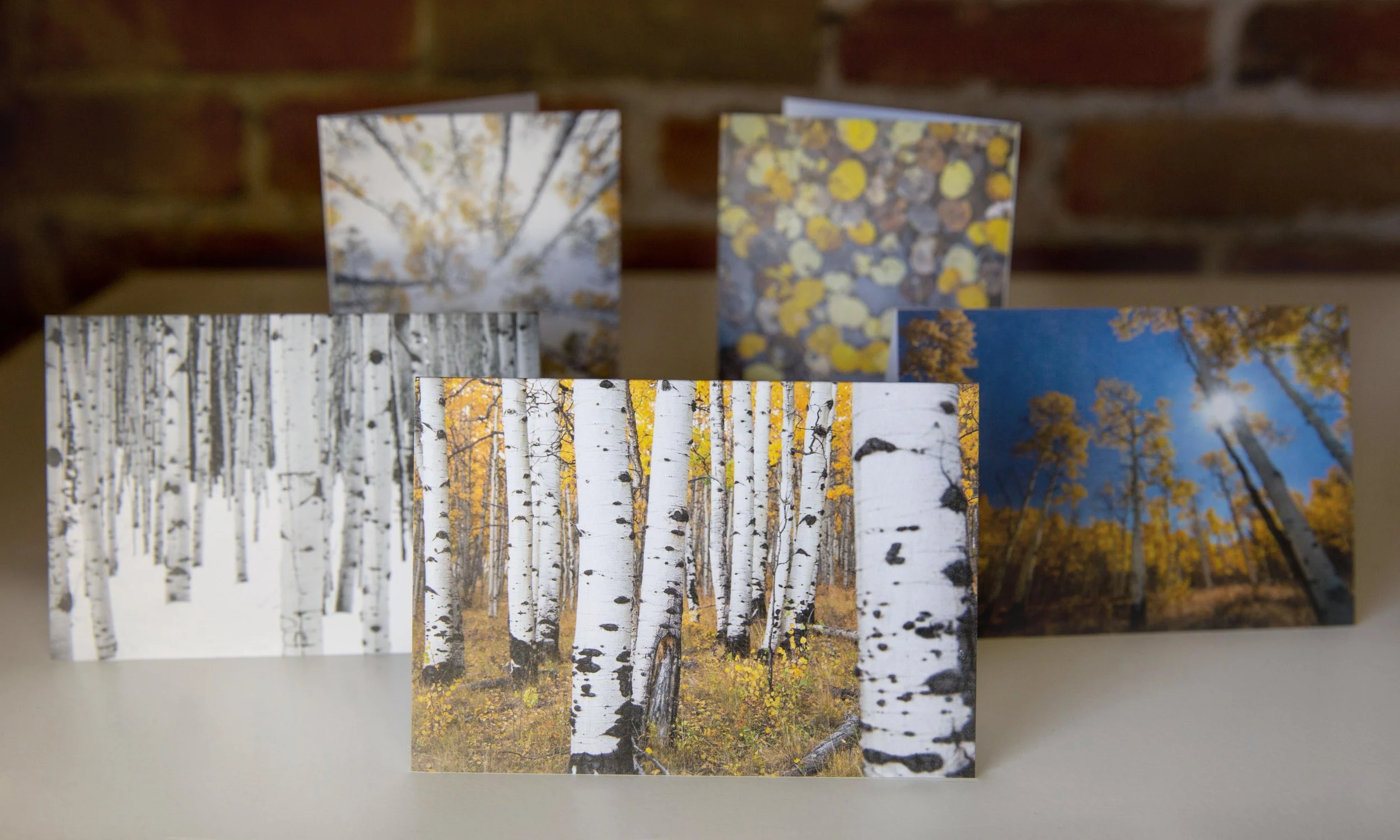 aspens-2.jpg