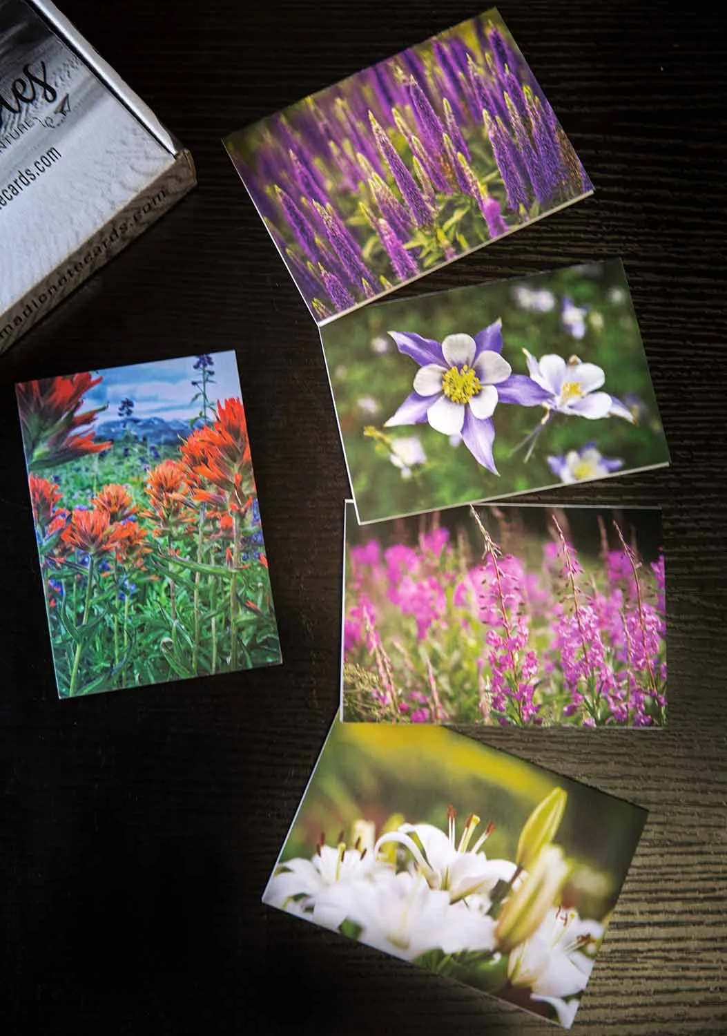 MayFlowers-3.jpg