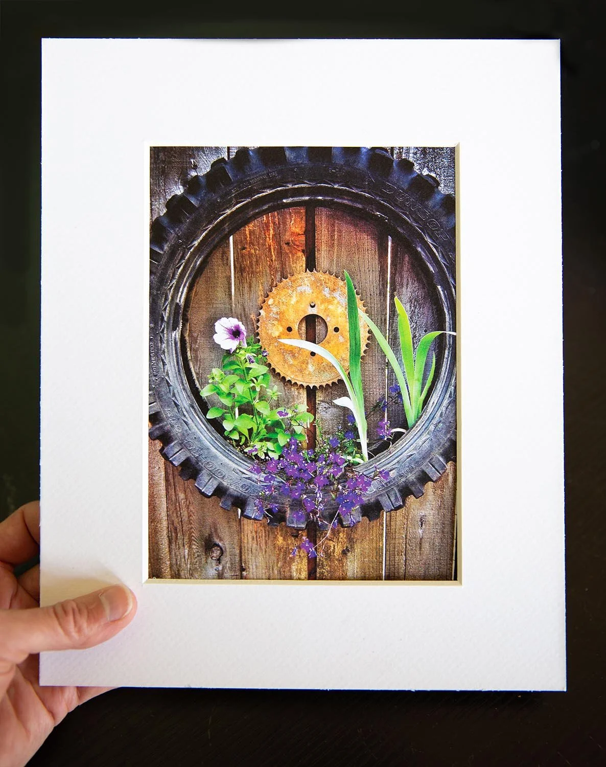 prints-5.jpg