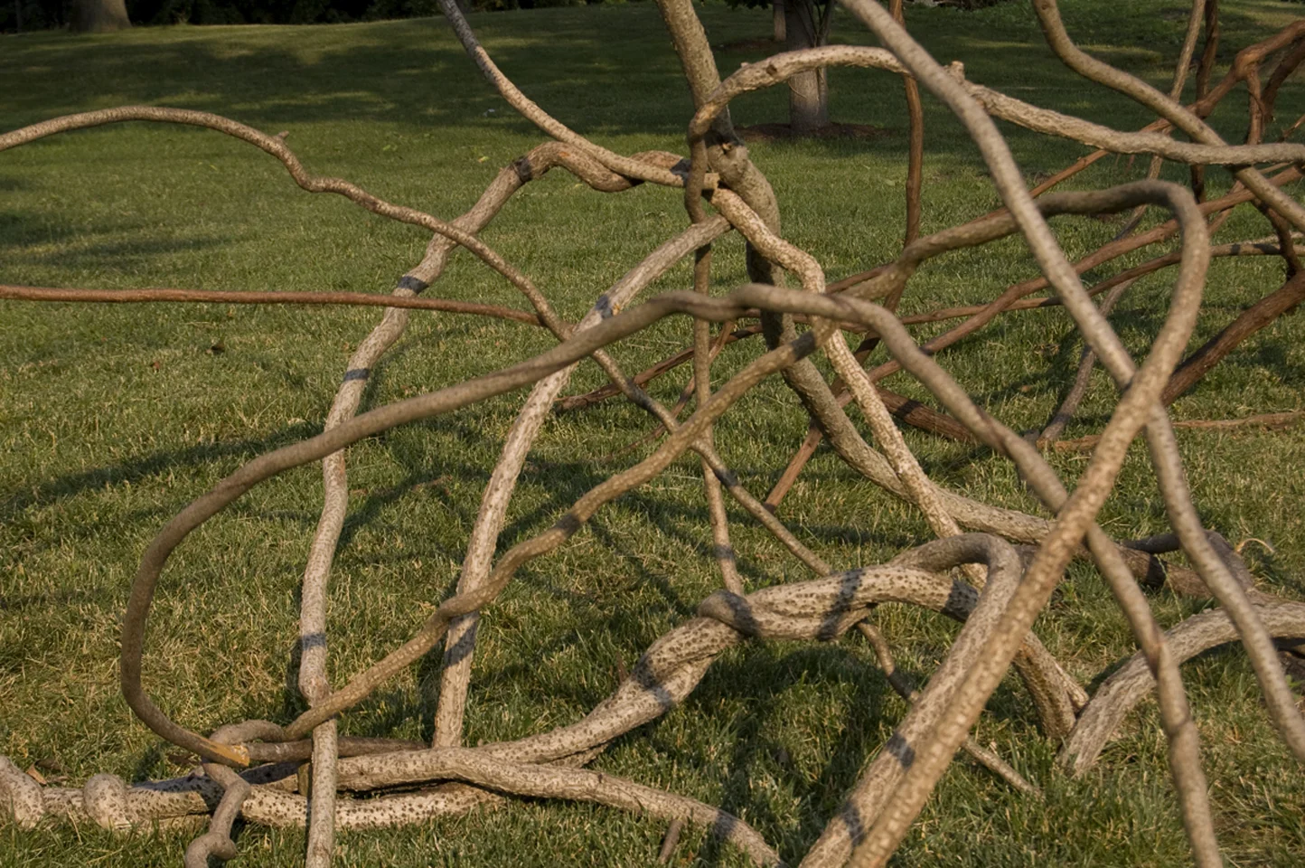Art in the Open 2011