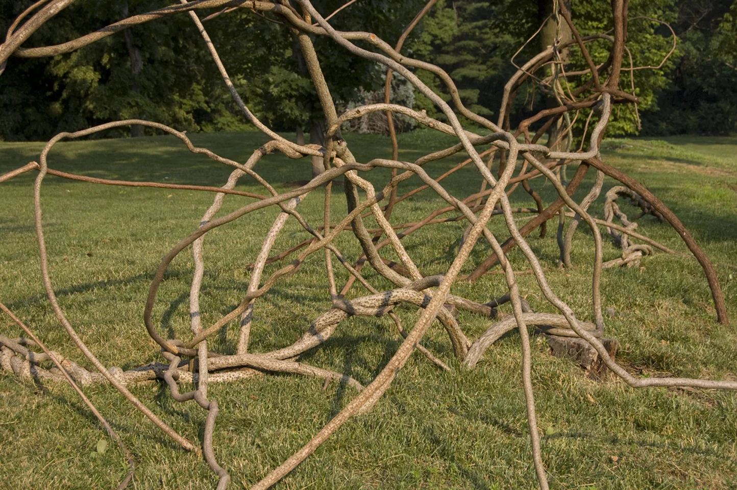 Art in the Open 2011